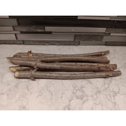 Size Large Marge Elderberry Cuttings